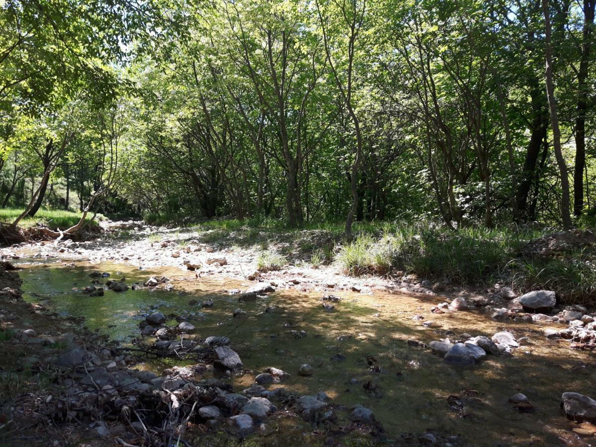 Korina * Starigrad Paklenica
