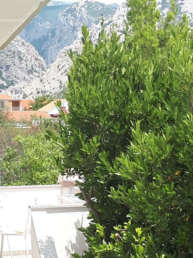 Apartman Korina Starigrad Paklenica