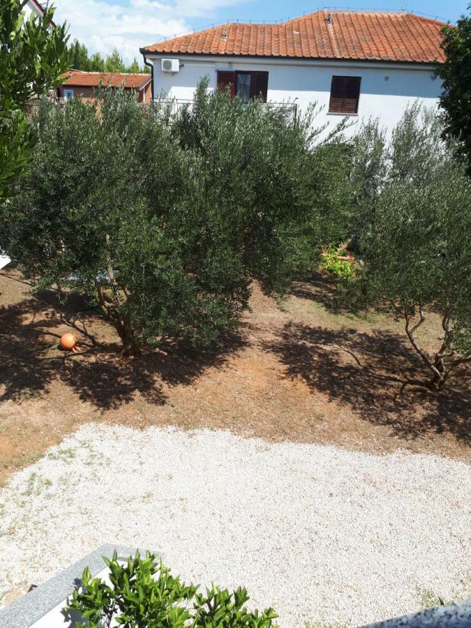Apartman Korina