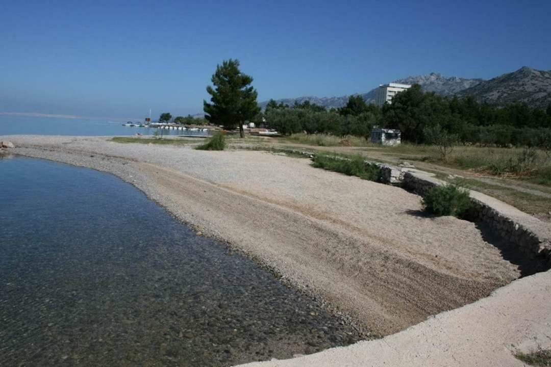 Korina