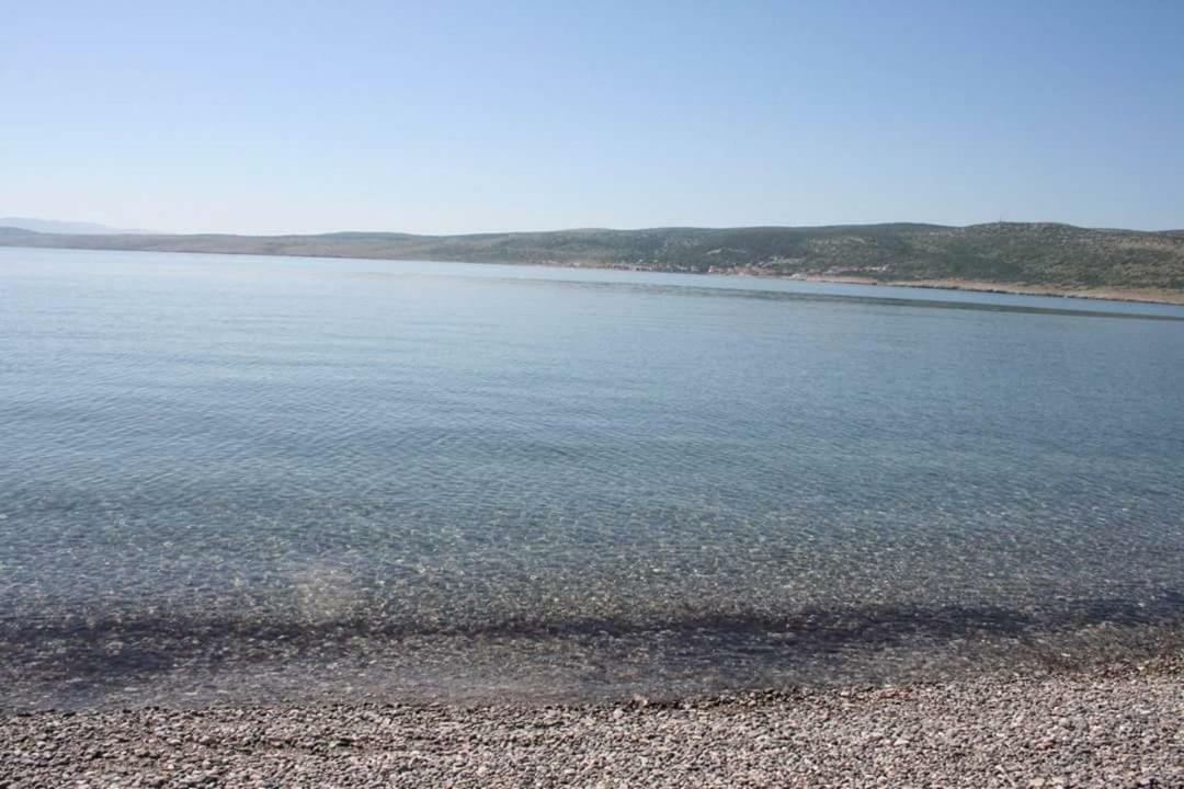 Korina