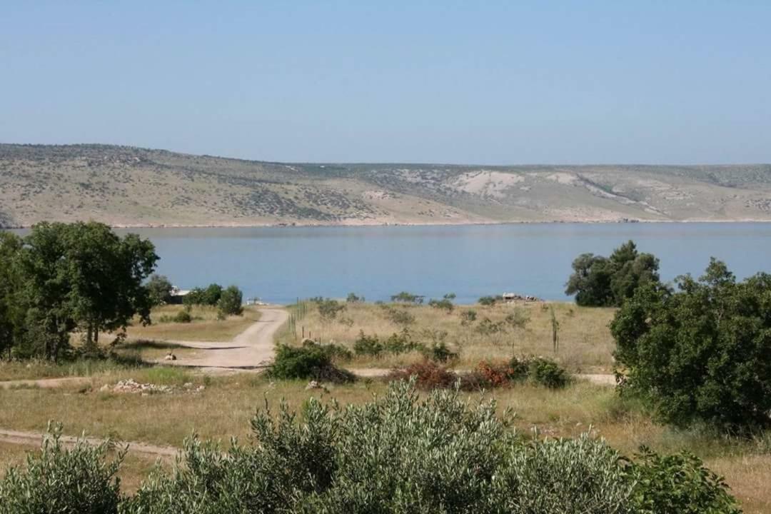 Apartman Korina *